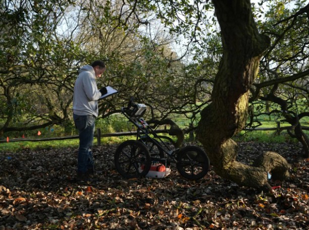 Oak tree monitoring